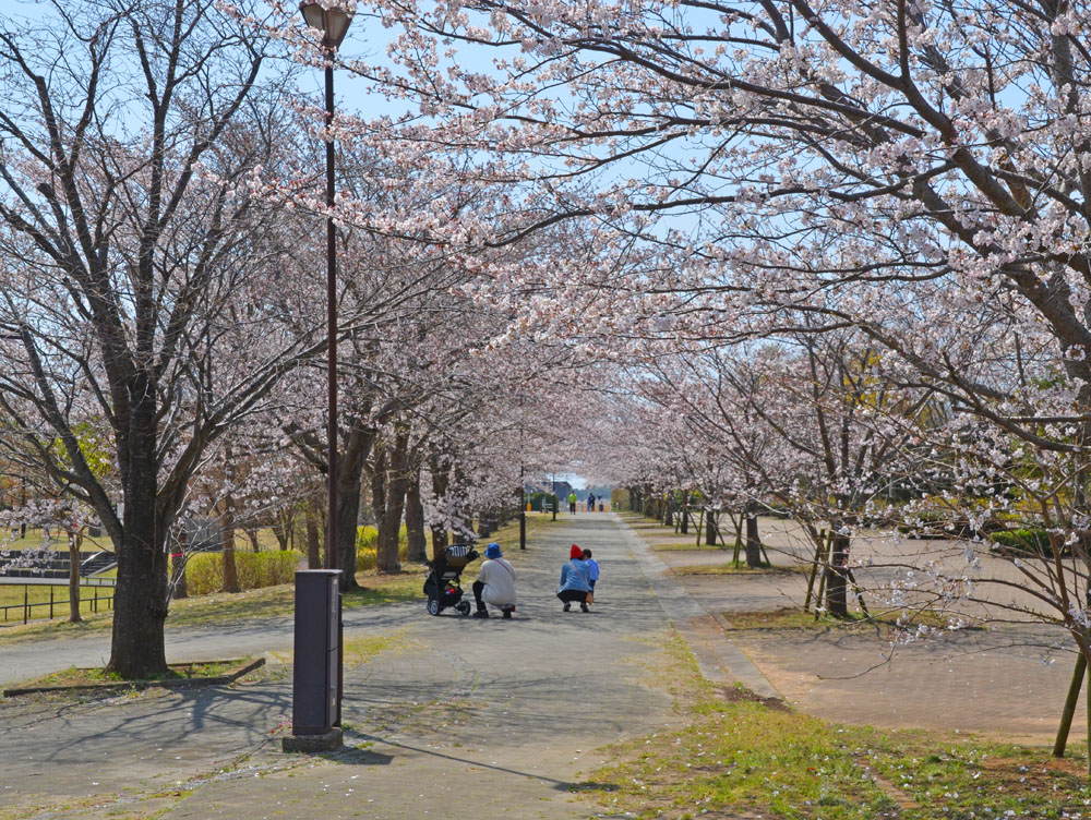 フローラルシティ西の原1丁目 滝野公園