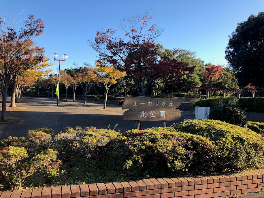 佐倉市西ユーカリが丘1丁目   ビューガーデン内・東南道路の一戸建 ユーカリが丘北公園