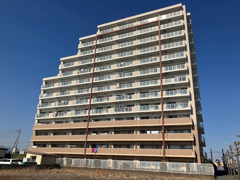 前面に建物がなく日当たり良好