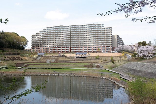ビオ・ウイングユーカリが丘 宮の杜公園からの建物南側外観