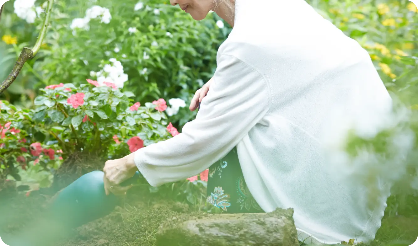 有効活用 image