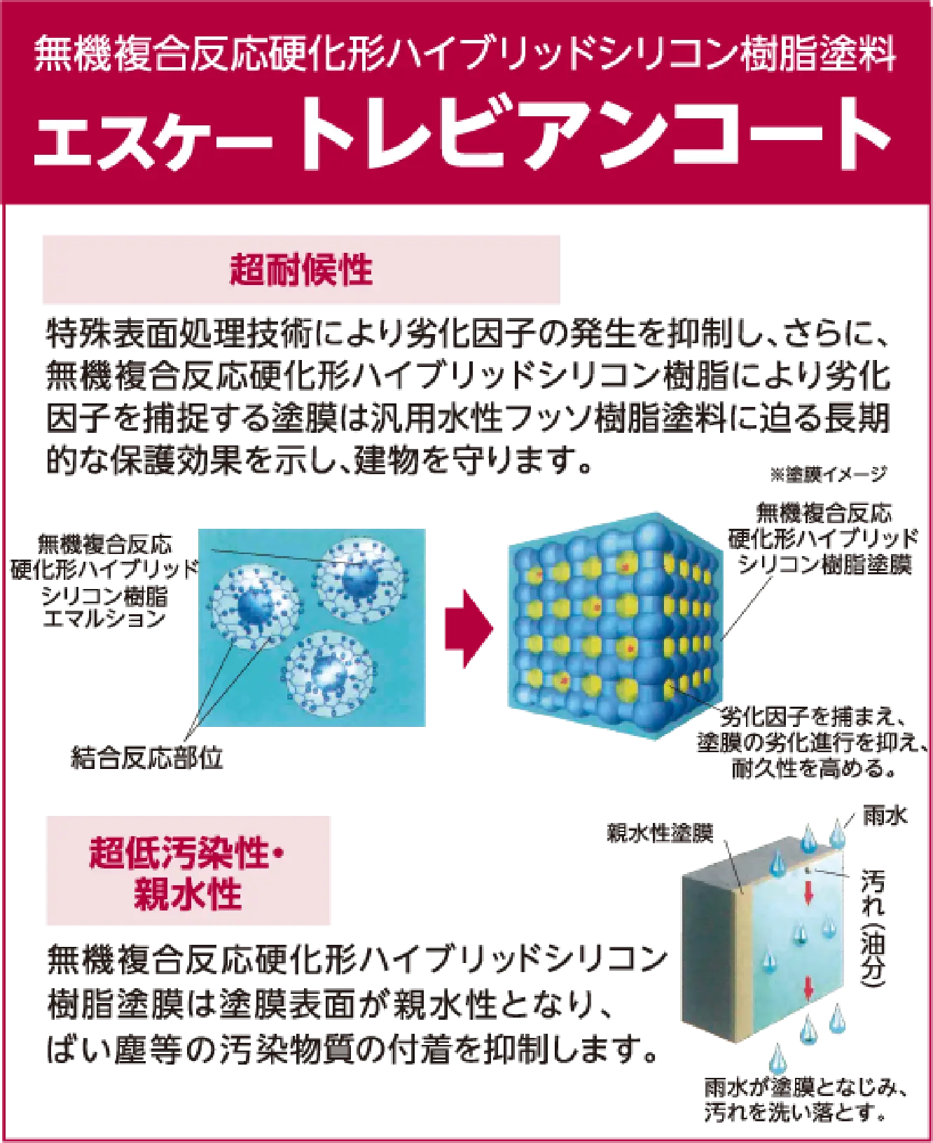 エスケー トレビアンコート