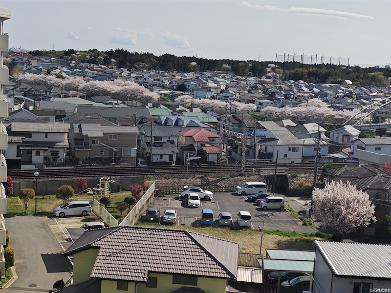 ハイネス勝田台壱番館 桜が綺麗にみえます