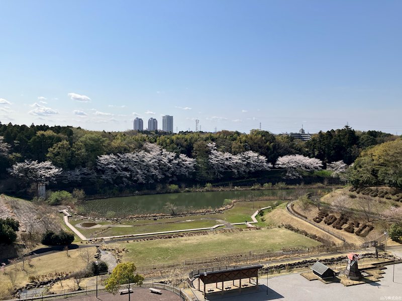 ビオ・ウイングユーカリが丘 4月は桜が満開です