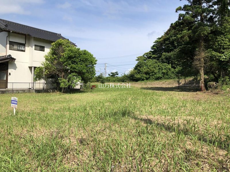 現地写真