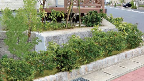 二段植栽