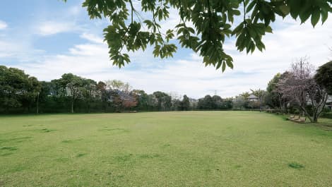 ユーカリが丘北公園