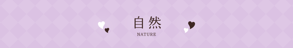 自然