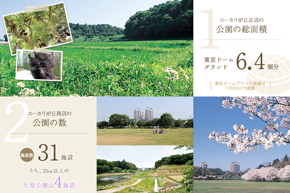 IMG_自然に関わるデータ
