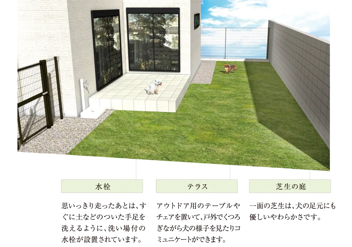ドッグラン image