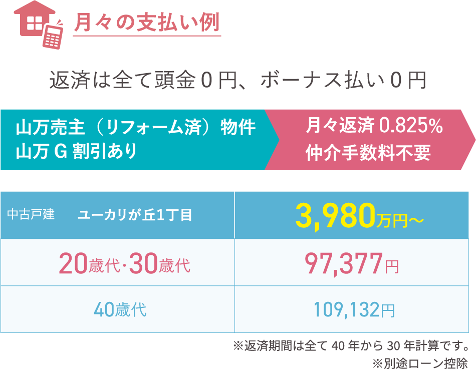 月々の支払い例