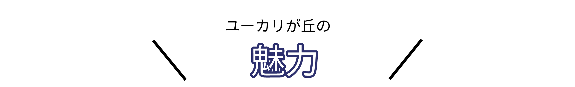魅力