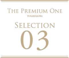 THE PREMIUM ONE SELECTION03