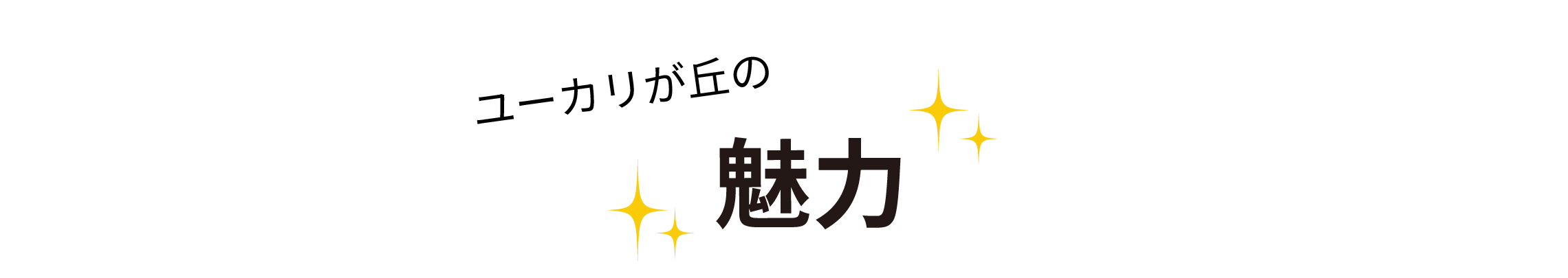 魅力