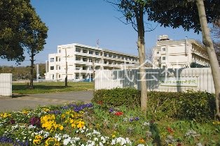 ユーカリ五番町ハイツ7号棟　前面棟なし 現地写真（その他）