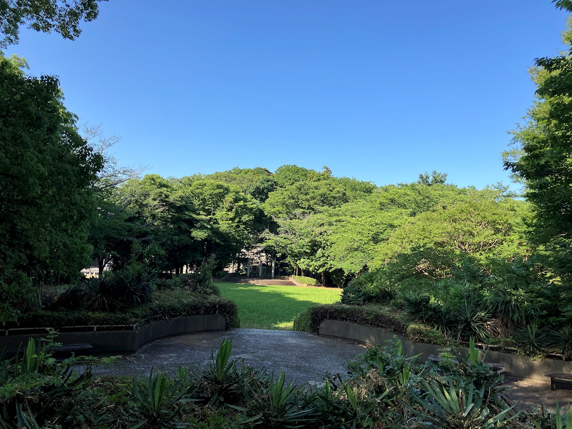 佐倉市上志津戸建　 南志津公園