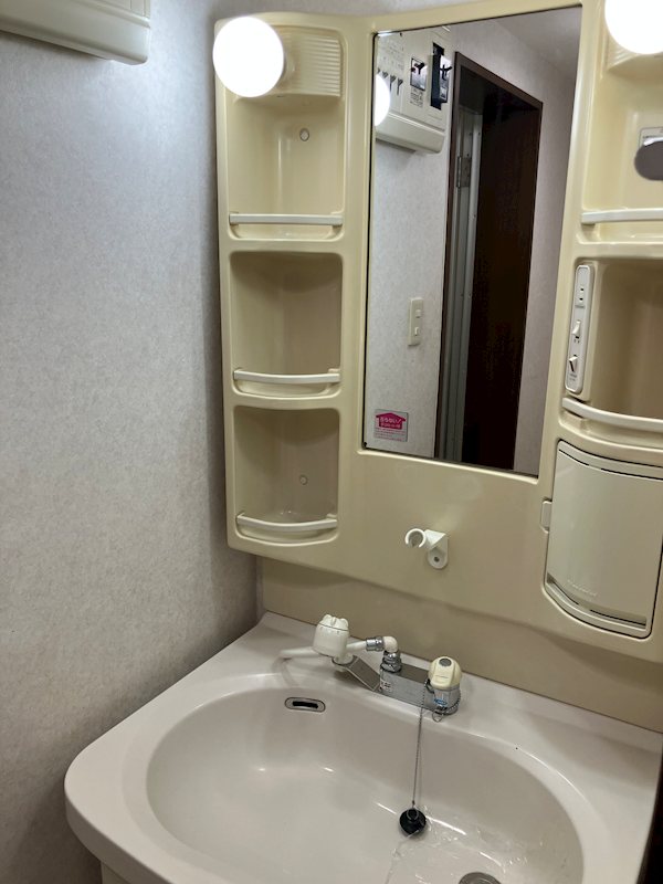 サンパーク成田弐番館　1階　専用庭付き 内観写真（洗面台・洗面所）