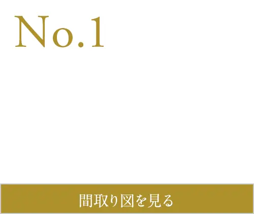N0.1