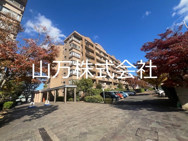 現地写真