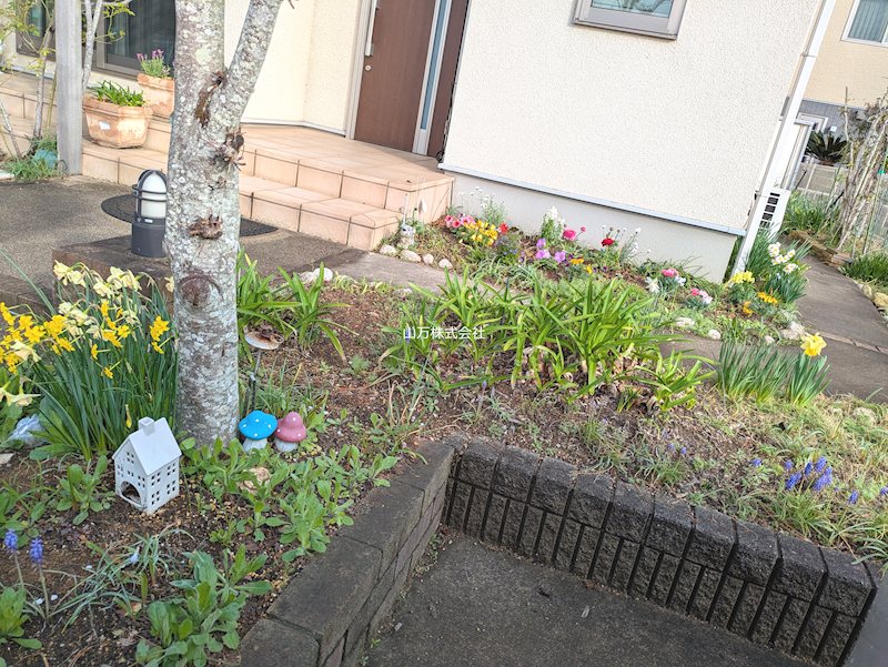 成田市公津の杜6丁目戸建 現地写真（庭）