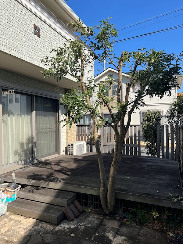 ウリン木材使用のウッドデッキ付き！佐倉市上座中古戸建て ウリン材使用のウッドデッキ
