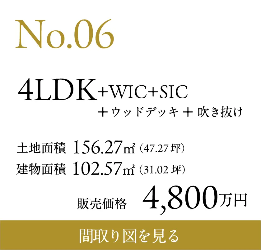 N0.6