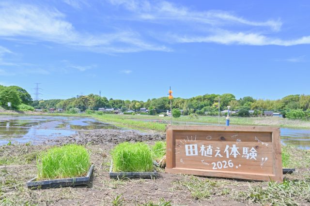 田植え＆キッチンカーで自然とグルメを体感しよう！を開催いたしました🍃