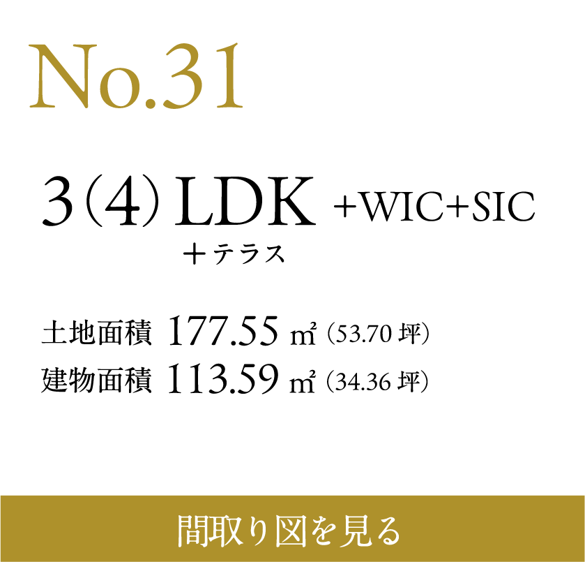 N0.31