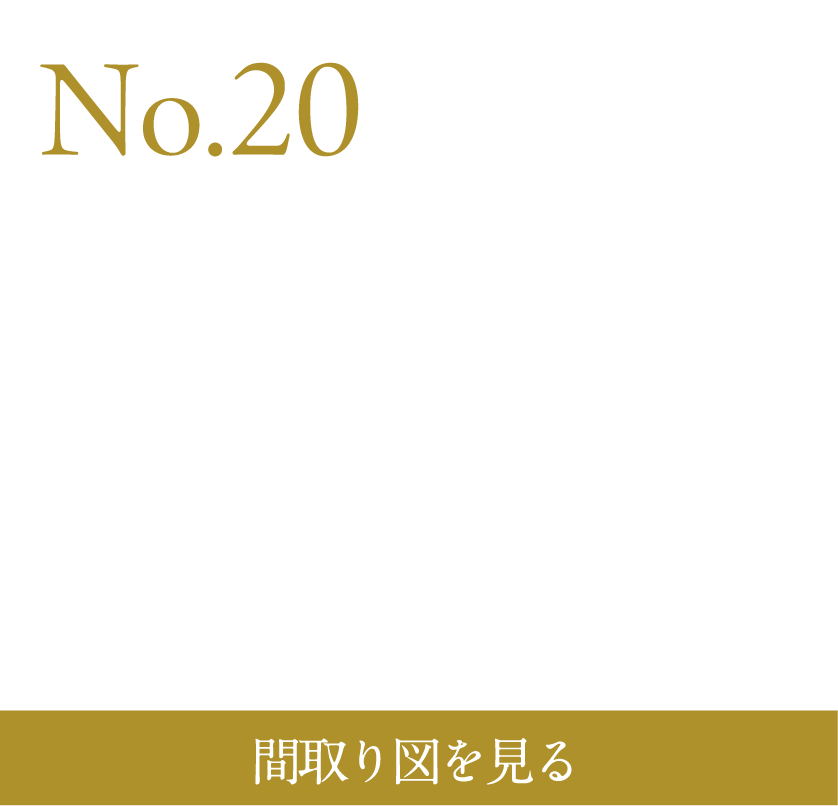 N0.20