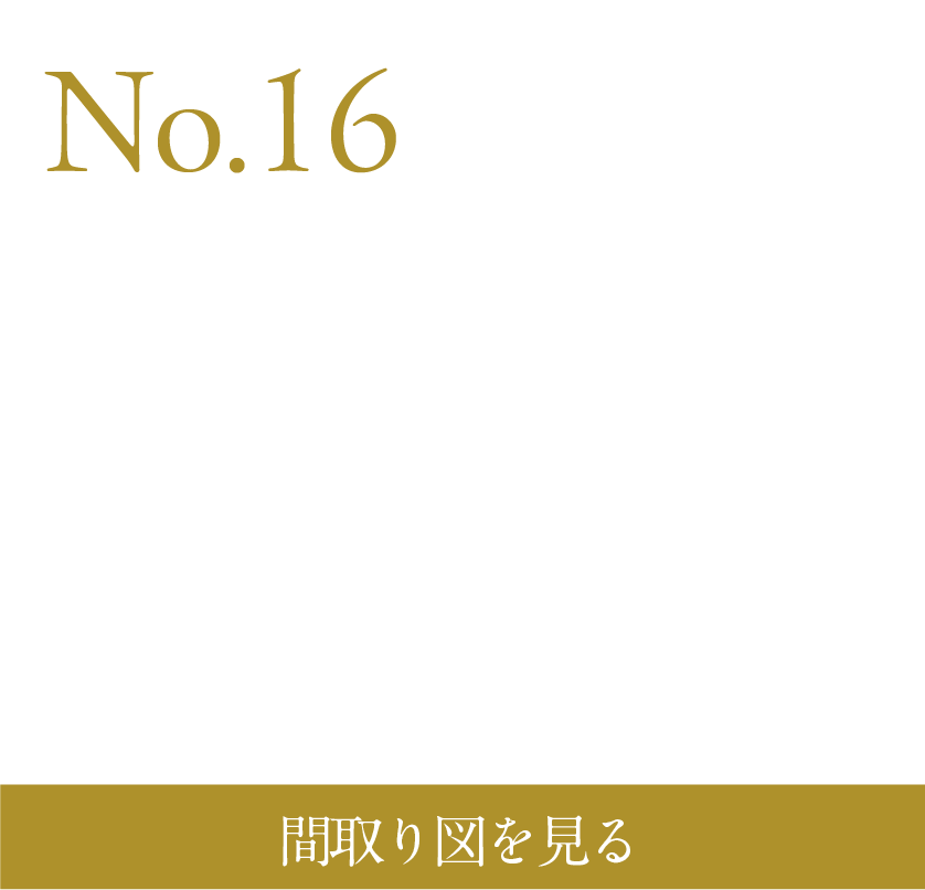 N0.16